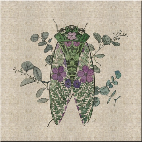 Nature Study in Butterflies‎  IV
