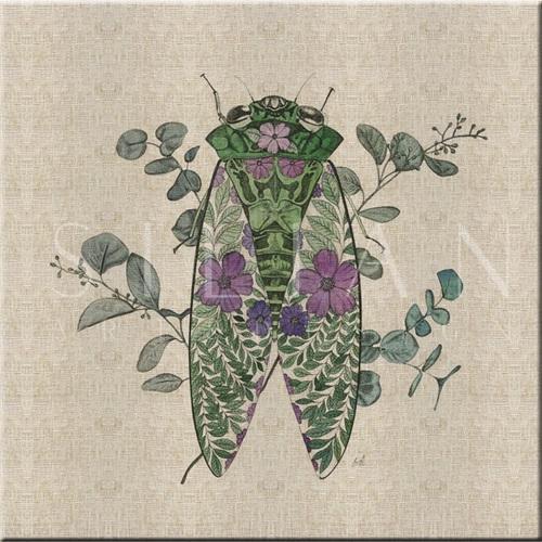 Nature Study in Butterflies‎  IV