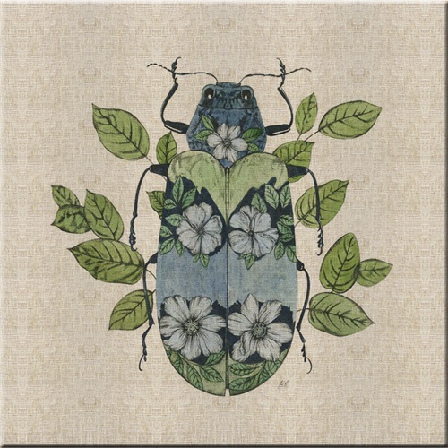 Nature Study in Butterflies‎  VI