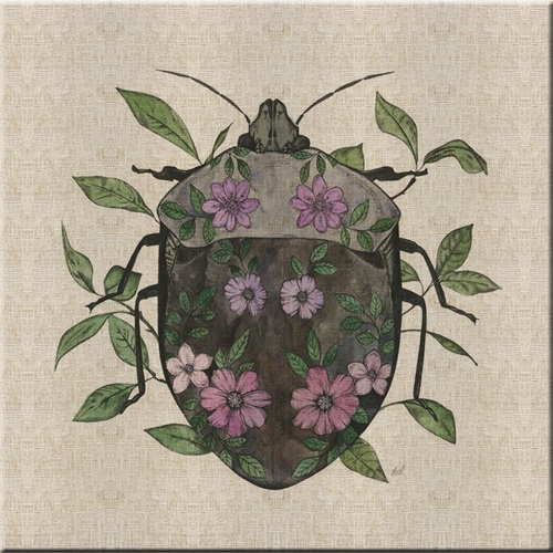 Nature Study in Butterflies‎  V