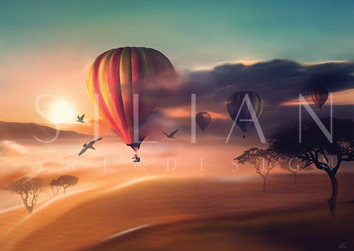 Hot Air Balloon 1