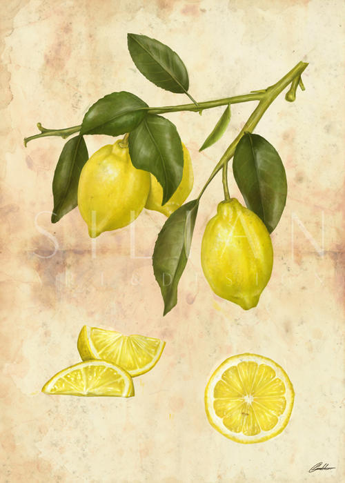 Lemons