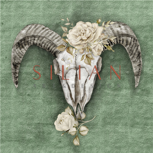 Skull with Flowers II