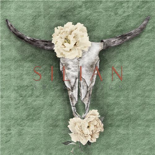 Skull With Flowers I