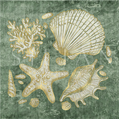 Seashell Spiral II
