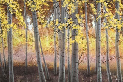 Birch Trees