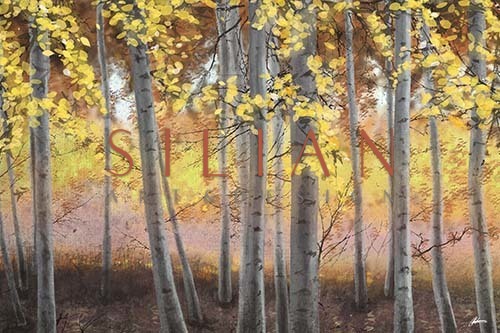 Birch Trees