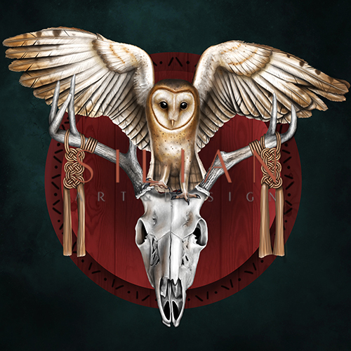 Owl and Skull
