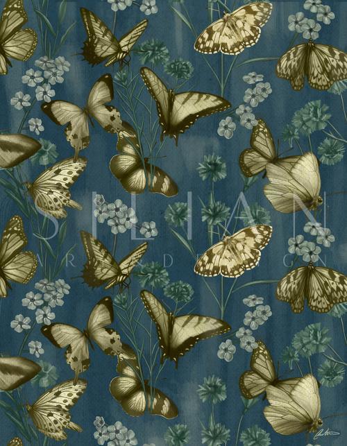 Butterfly Pattern