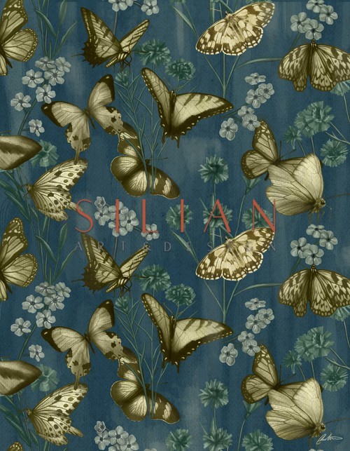 Butterfly Pattern