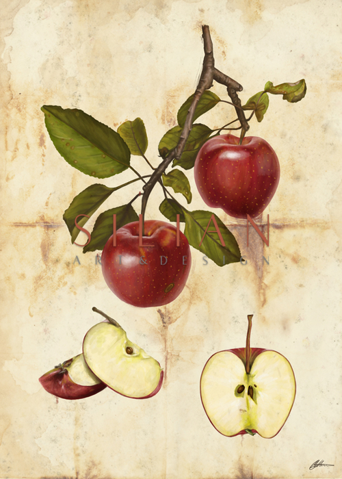 Apples