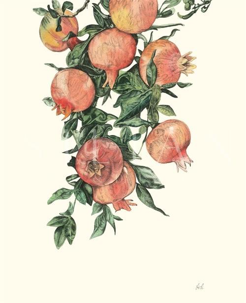 Fruit Realistic I