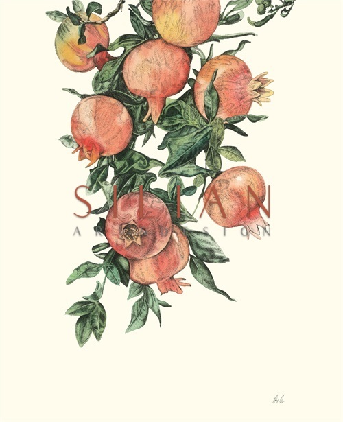 Fruit Realistic I