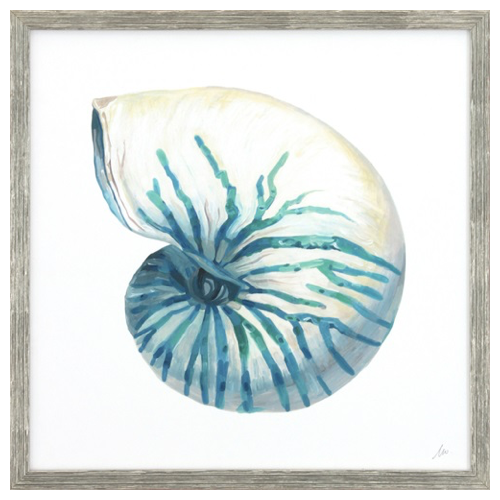 Coastal Shell Schematic II