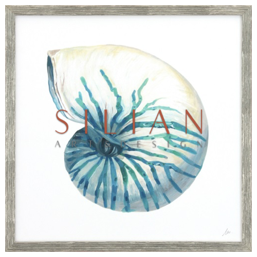 Coastal Shell Schematic II