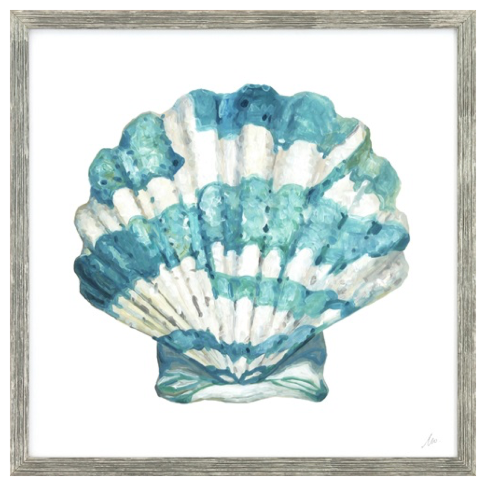 Coastal Shell Schematic I