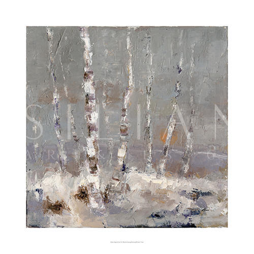 Birch I