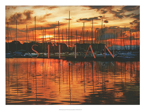 Marina Sunrise II