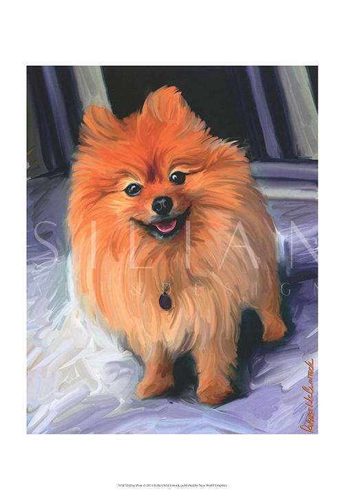 Blue Pom