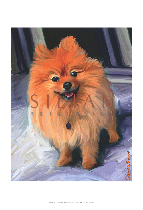 Blue Pom