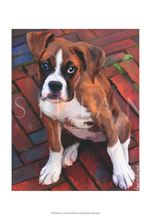 Baby Boxer