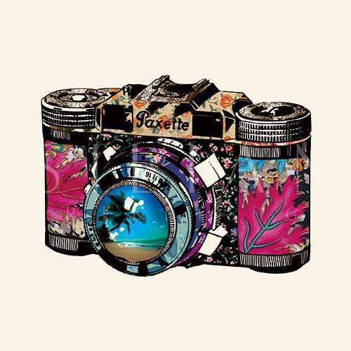 Vintage Camera Ⅲ