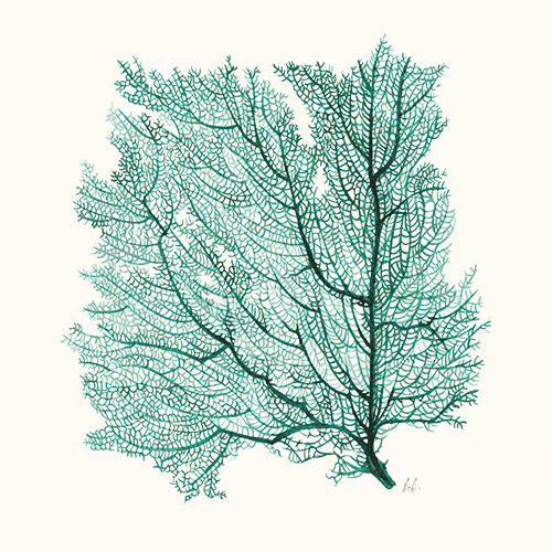 Coral