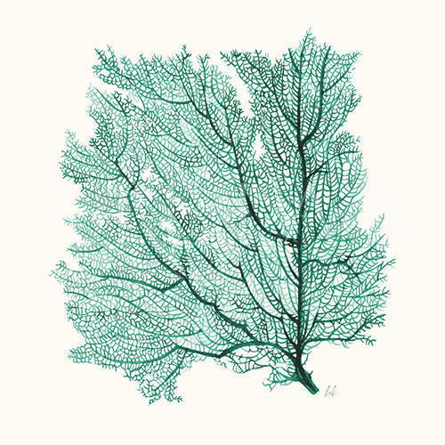 Coral