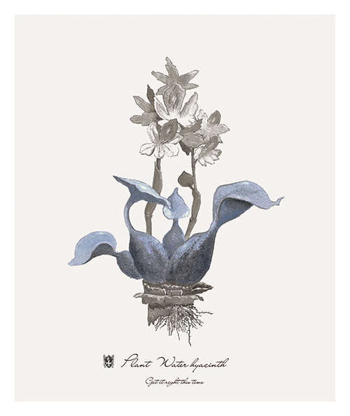 蓝色的植物 II