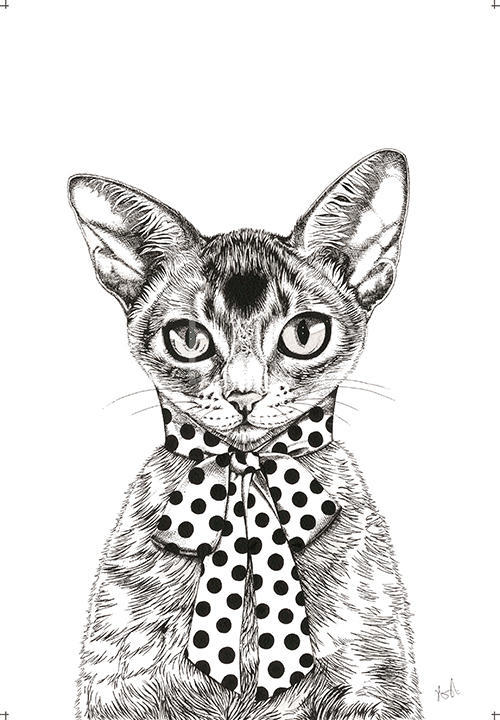 A Cat Wearing A Scarf