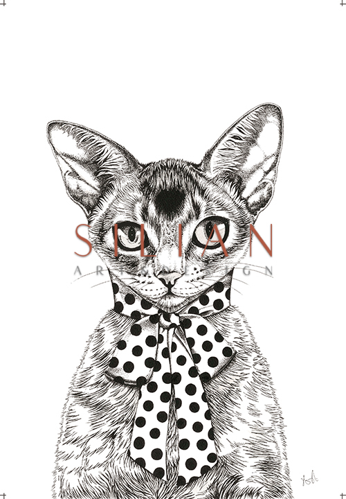 A Cat Wearing A Scarf