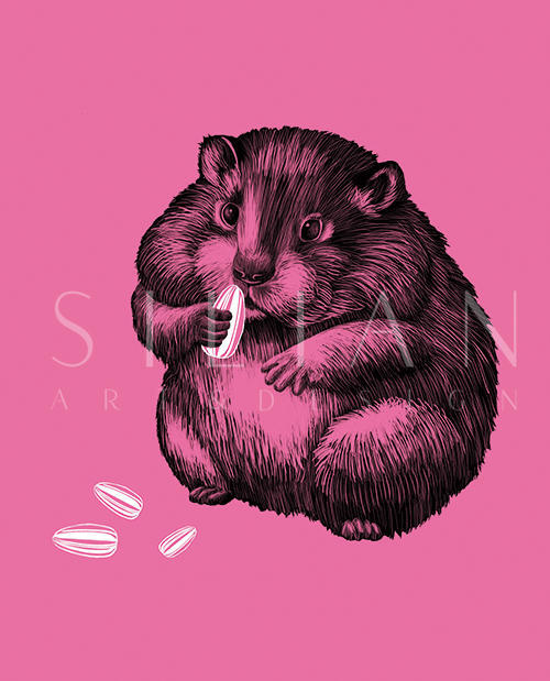 Colourful Animal Ⅵ