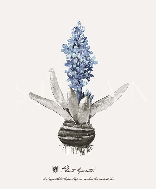 蓝色的植物 V