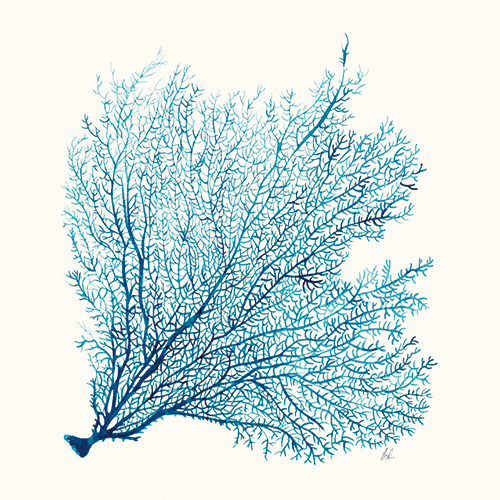 Coral