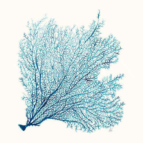 Coral