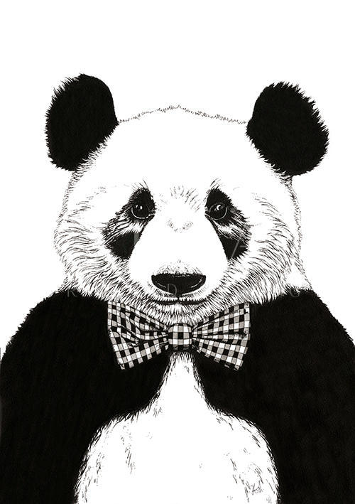 A Panda With A Tie
