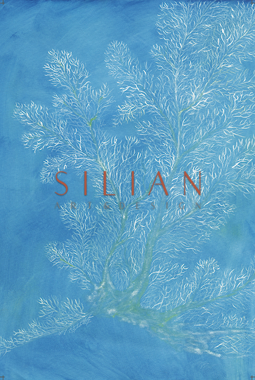 Blue Ocean Ⅻ