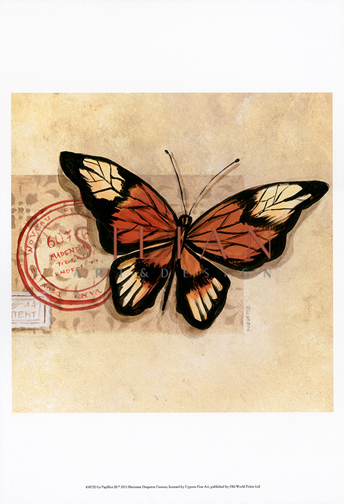 Butterfly Notes
