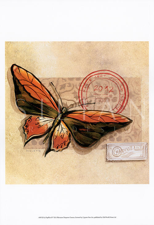 Butterfly Notes