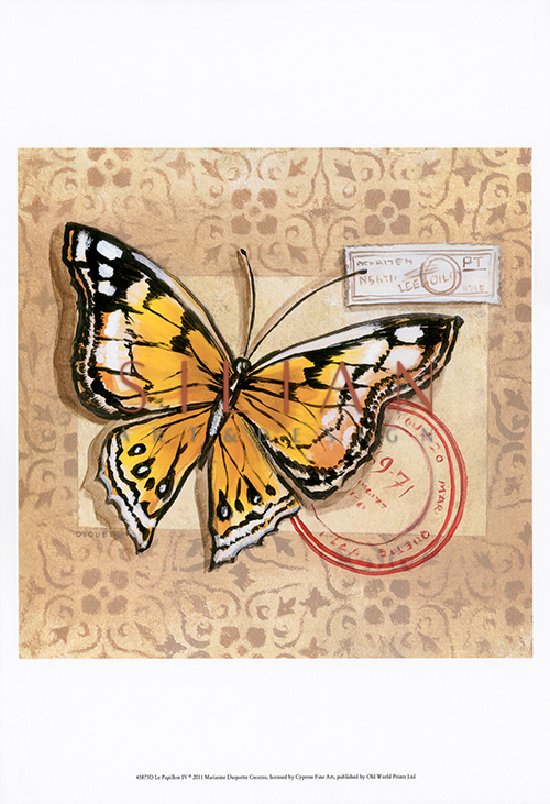 Butterfly Notes