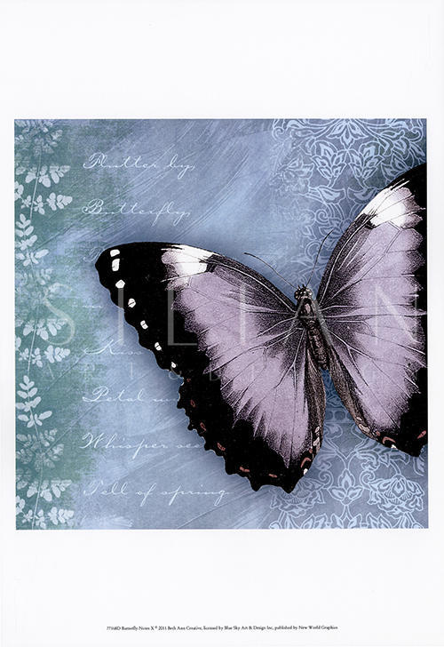 Butterfly Notes