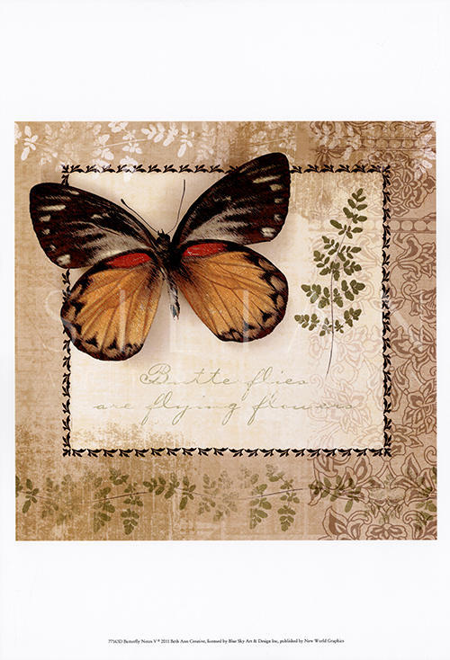 Butterfly Notes