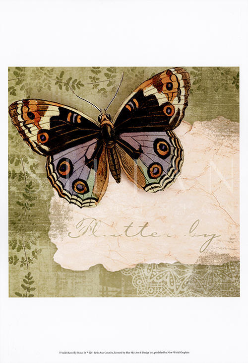 Butterfly Notes