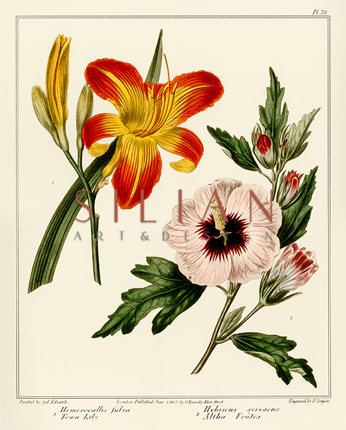 Gardener's Delight II