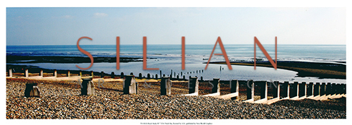 Beach Study  III