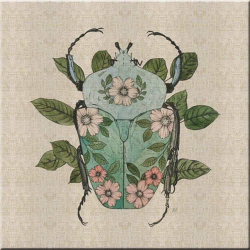 Nature Study in Butterflies‎  III
