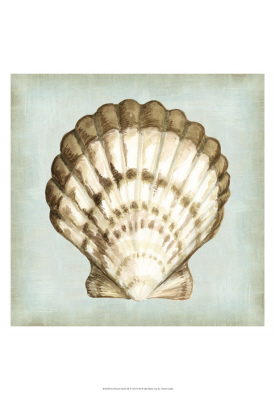 Sea Dream Shells I