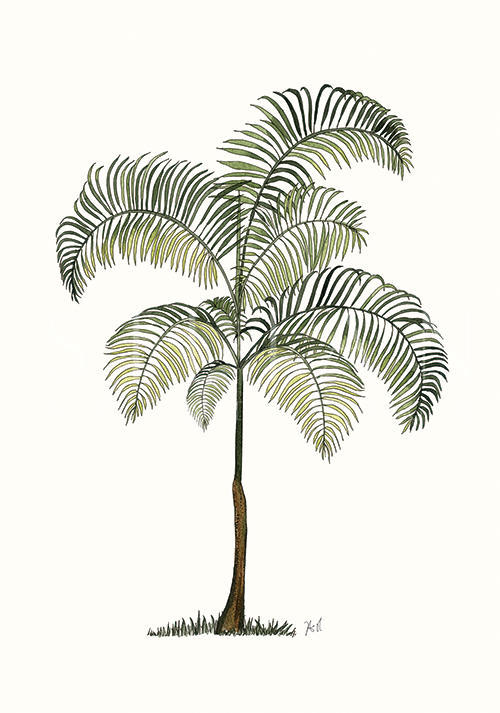 Green Tree V
