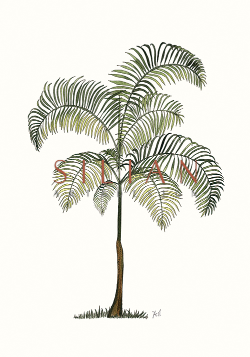 Green Tree V