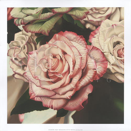 Vintage Rose